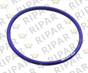 3107255 SEAL-O-RING CTP