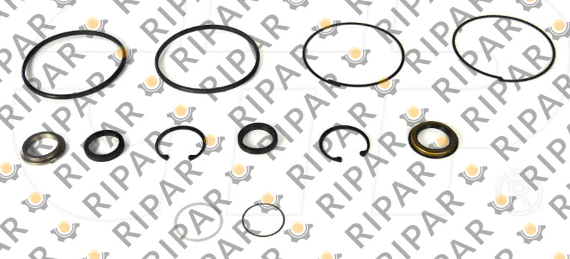 3156714 KIT-GASKET CTP