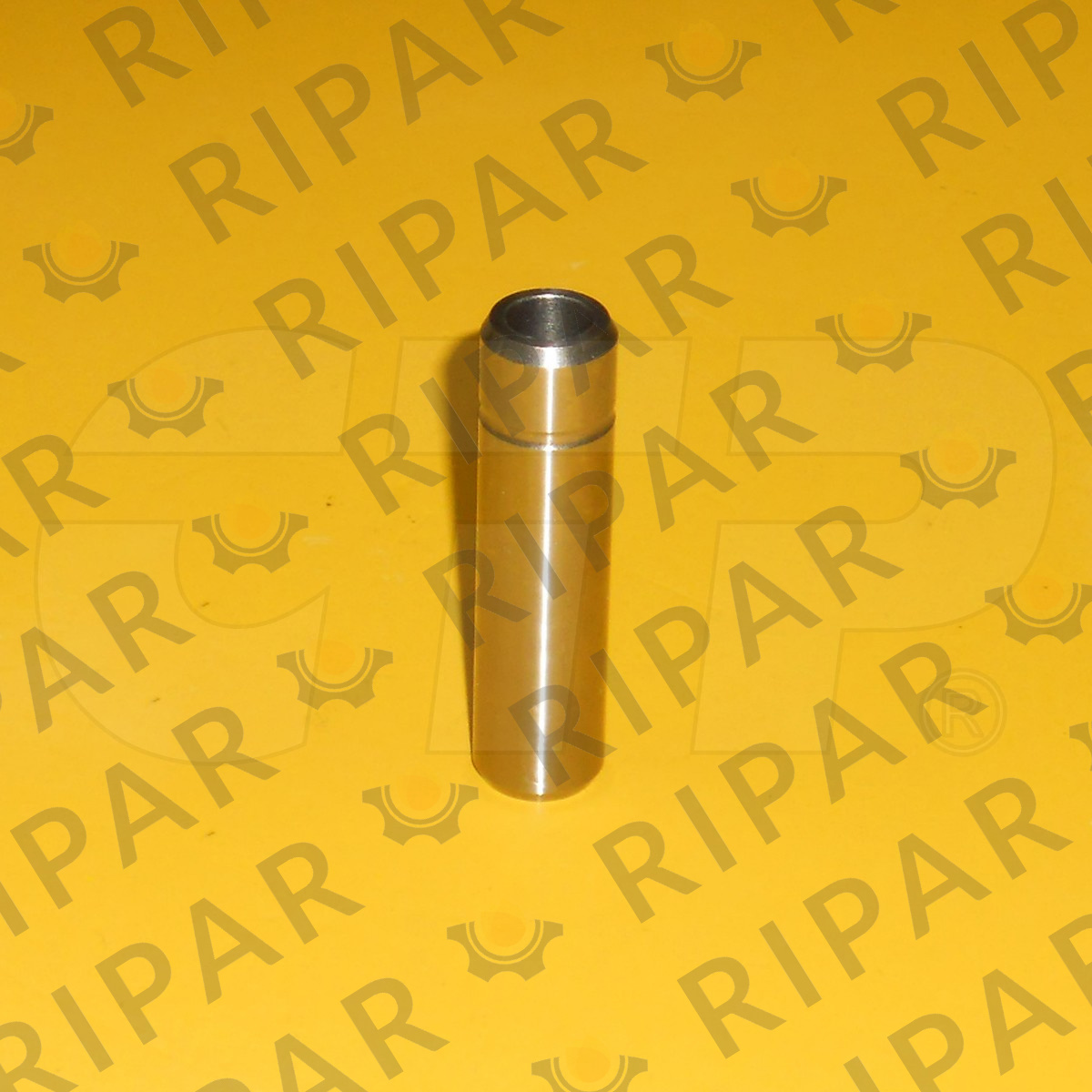 1850882 GUIDE-IN VALVE CTP