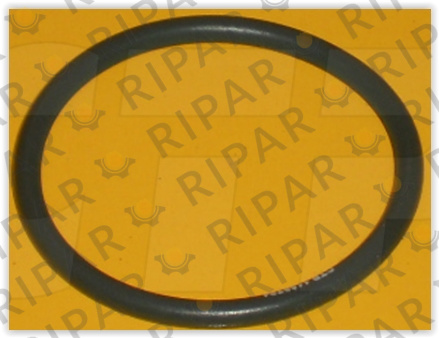 1198784 SEAL O RING CTP