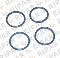 1148718 SEAL O RING CTP
