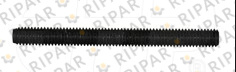 6L4428 Шпилька CTP