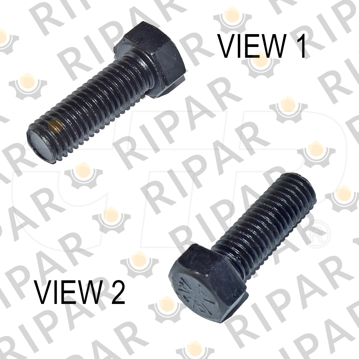 0S1585 CAP SCREW CTP