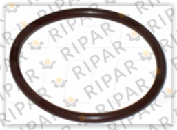 5P8211 SEAL O RING CTP