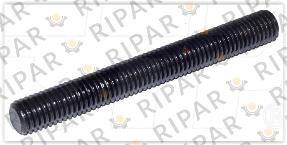 1163715 STUD CTP