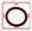 3P1156 Уплотнительное кольцо CTP