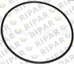 4N1230 SEAL O RING CTP