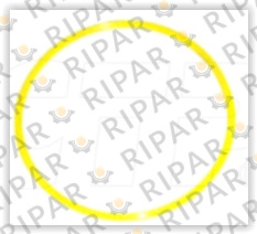 5M3038 SEAL O RING CTP