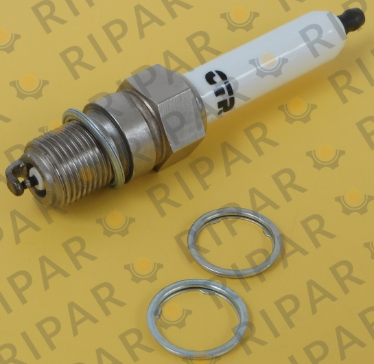 2434291 PLUG-SPARK CTP