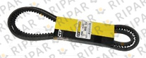4P8088 V-BELT SINGLE CTP