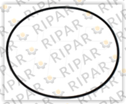 0969528 SEAL O RING CTP