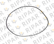 2R0239 SEAL O RING CTP