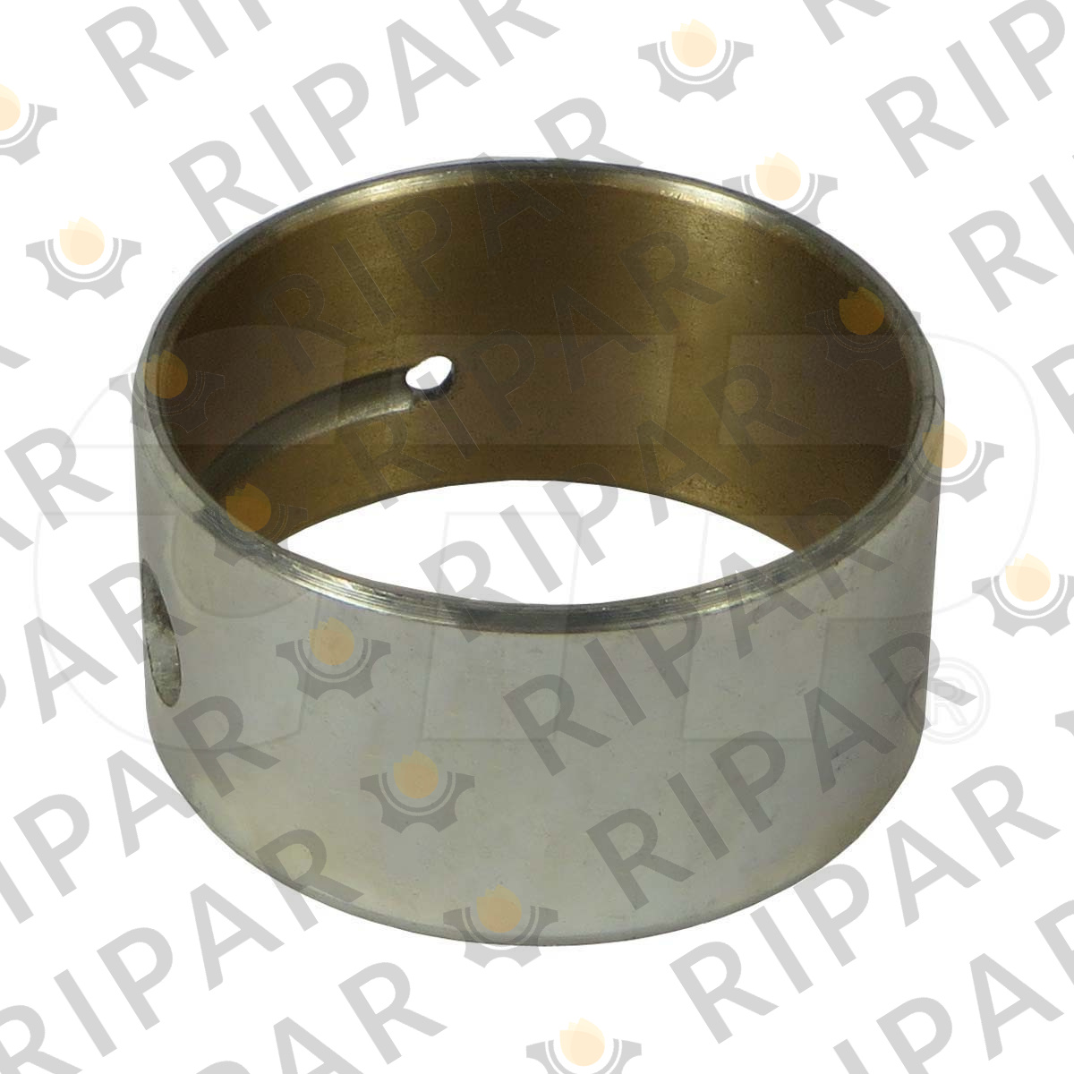 3668853 BEARING CTP