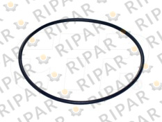 1853241 SEAL O RING CTP