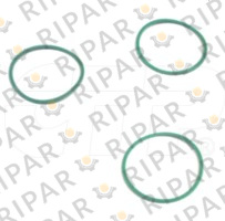 6V1250 SEAL O RING CTP