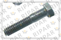 1A9579 CAPSCREW CTP