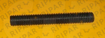 2D8155 STUD CTP