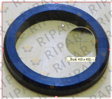 1P3702 Уплотнительное кольцо CTP