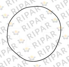 3D8422 SEAL O RING CTP
