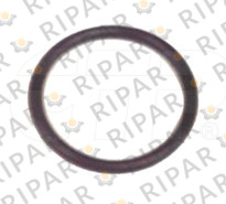 2H3088 SEAL O RING CTP