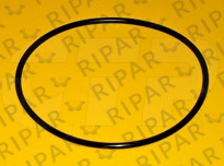2H3928 SEAL O RING CTP
