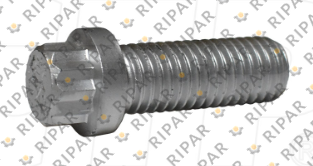 1762543 BOLT-12 PO CTP