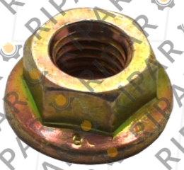 6I0594 NUT CTP