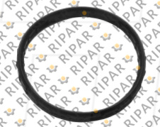 2065988 SEAL-PRESS CTP