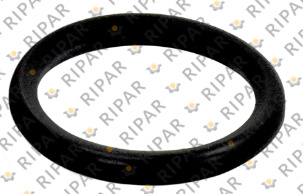 3766405 SEAL O RING CTP