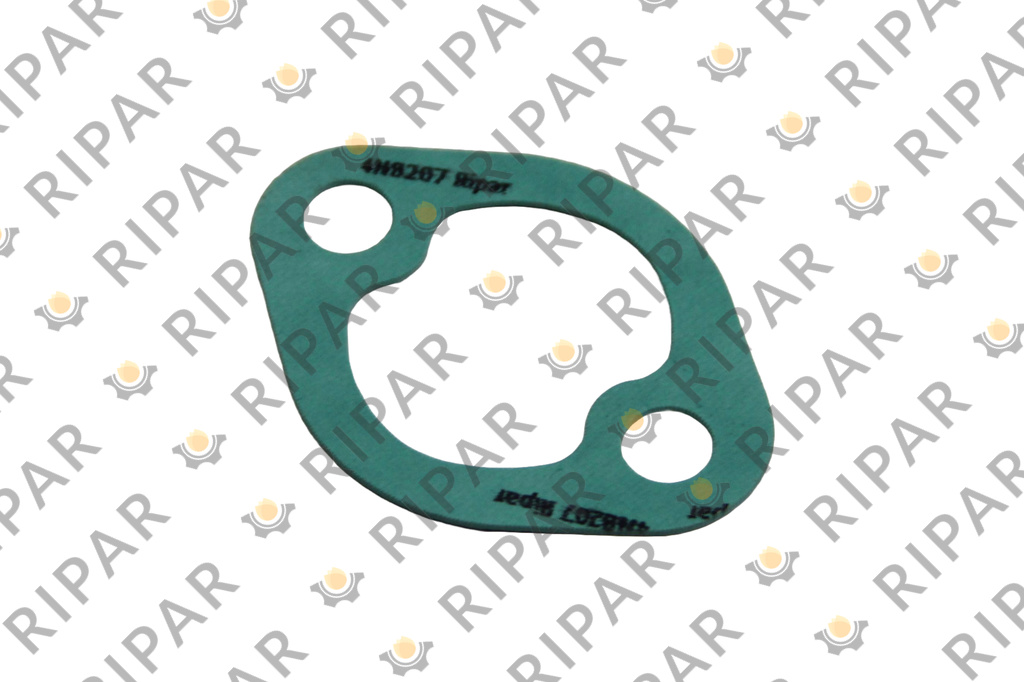 4N8207 GASKET RIPAR