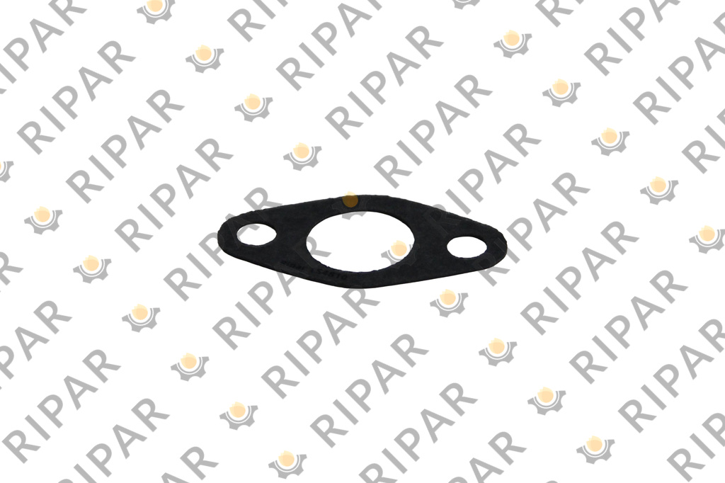 1S4810 GASKET RIPAR