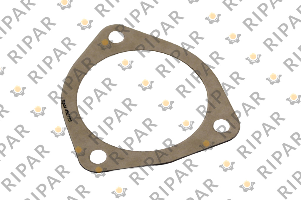 4N2199 Прокладка RIPAR