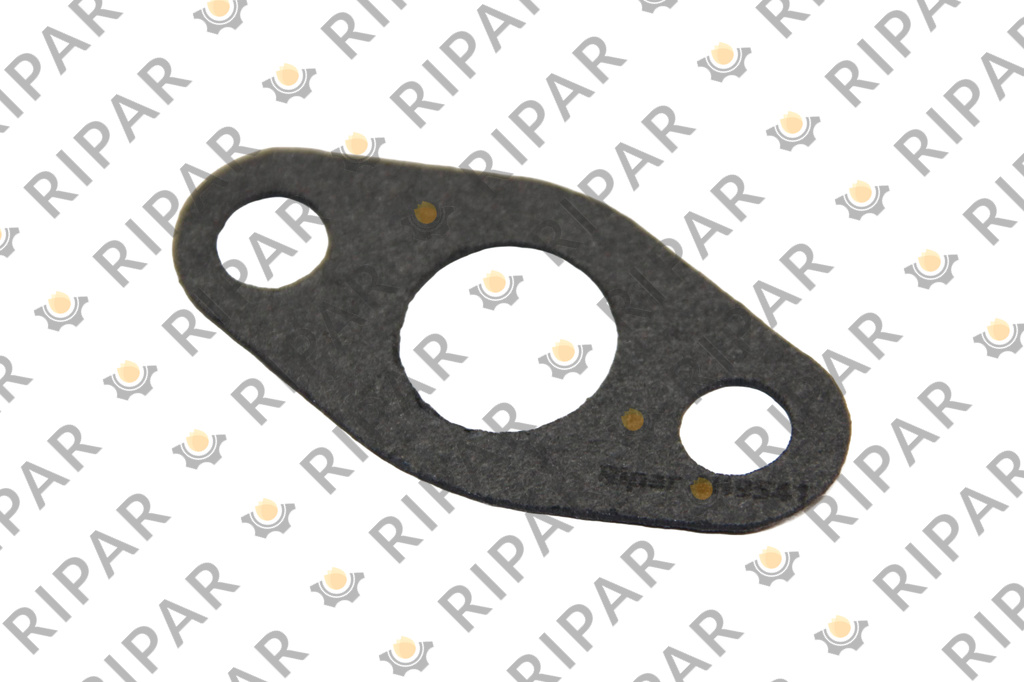 4H9541 GASKET RIPAR