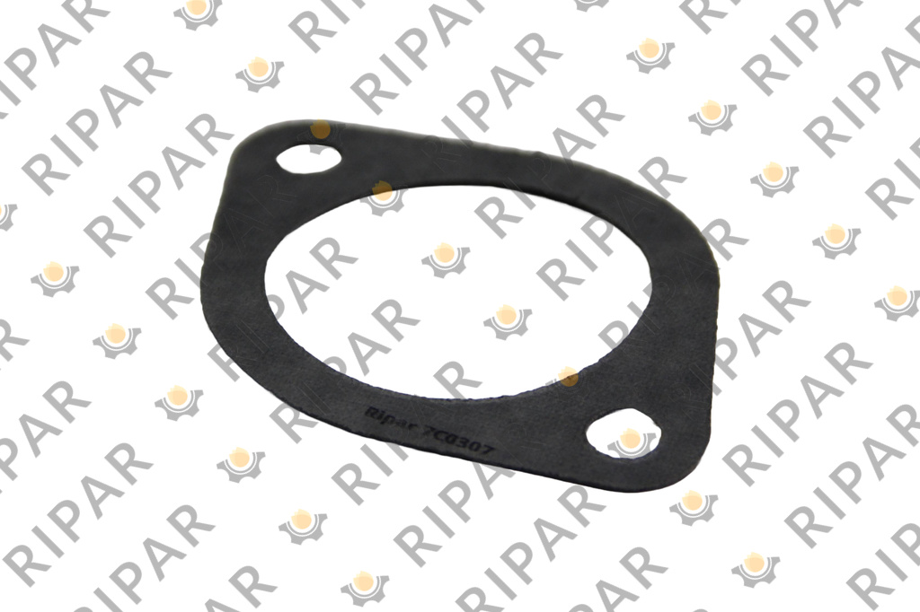 7C0307 GASKET RIPAR