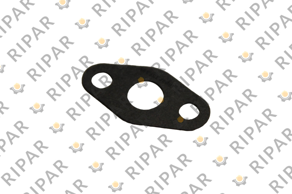 1S6595 GASKET RIPAR