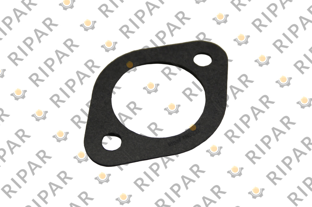 4N0933 GASKET RIPAR