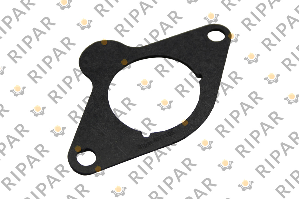 4N1105 Прокладка RIPAR