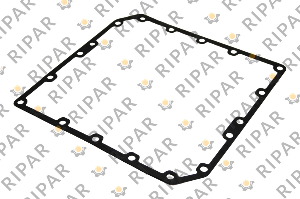 4N5795 Прокладка RIPAR