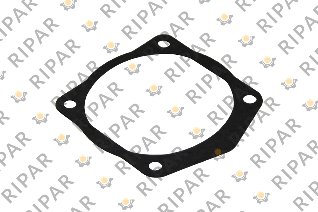 7N5080 GASKET RIPAR