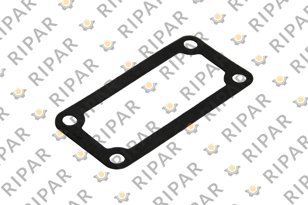 7N5089 Прокладка RIPAR