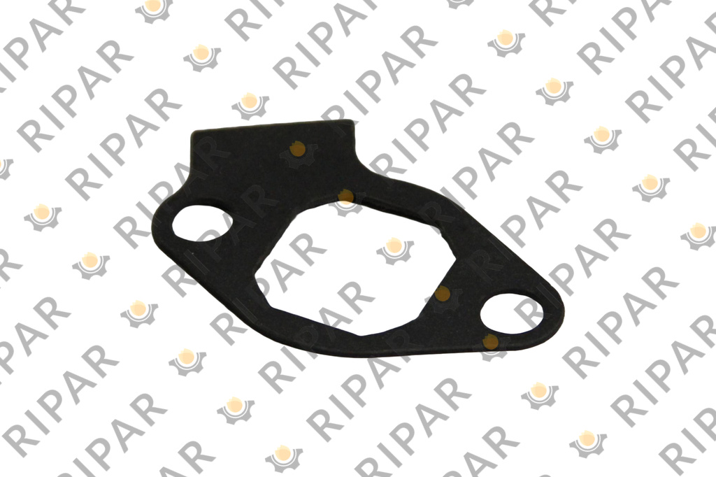 29547627 GASKET-PLATE, CONNECTOR, OLS RIPAR