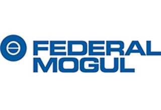 Federal Mogul