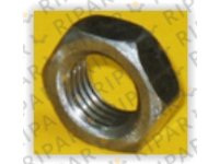 NUT JAM CTP 9L7712