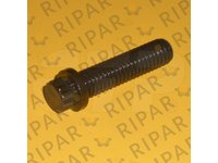 BOLT 12 POINT HEA CTP 5P0076