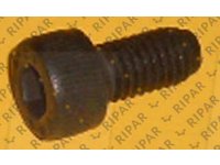 BOLT-SOCKET HEAD CTP 0990822