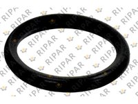 SEAL O RING CTP 3766405